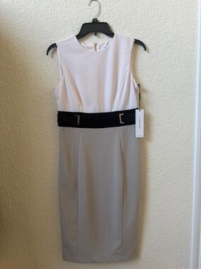Calvin Klein Ivory, Black & Taupe Colorblock Sheath Dress